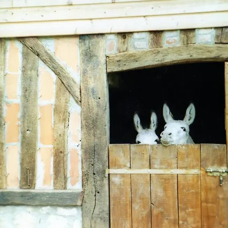 Panzió Chez Corinne 3*