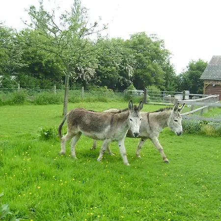 Chez Corinne Fourneville
