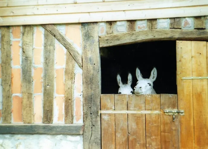 Bed & Breakfast Chez Corinne 3*