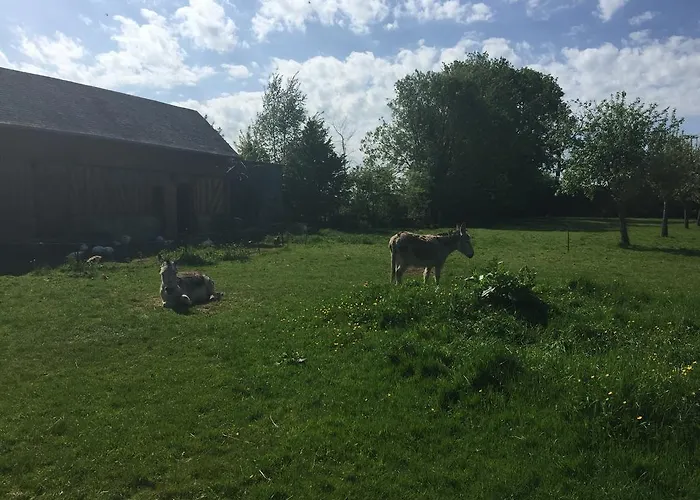 Chez Corinne Bed & Breakfast Fourneville