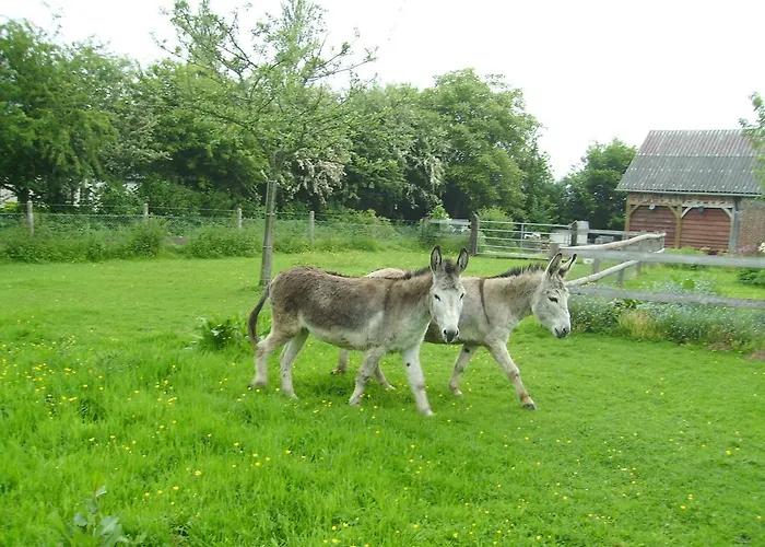 Chez Corinne Fourneville